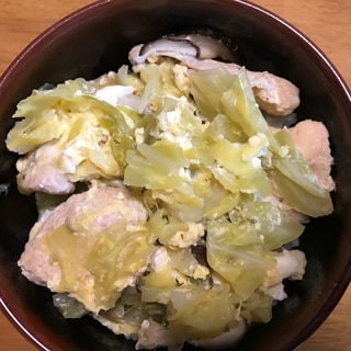 キャベツとむね肉でヘルシー親子丼